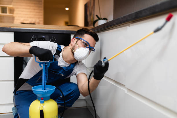 Professional Pest Control in Coldwater, OH