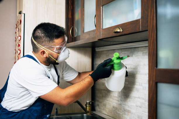 Pest Control Cost in Coldwater, OH