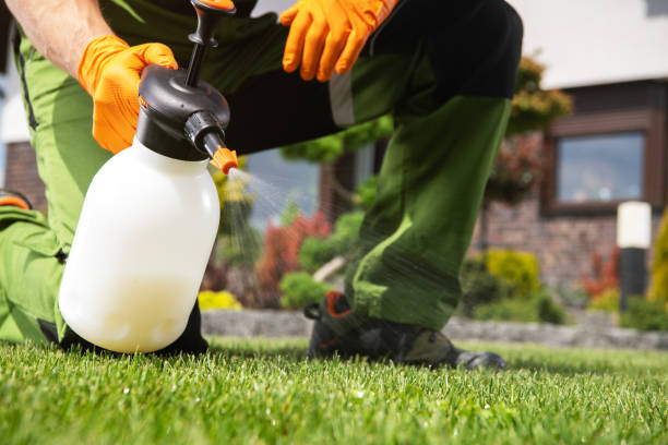 Best Affordable Pest Control Services  in Coldwater, OH