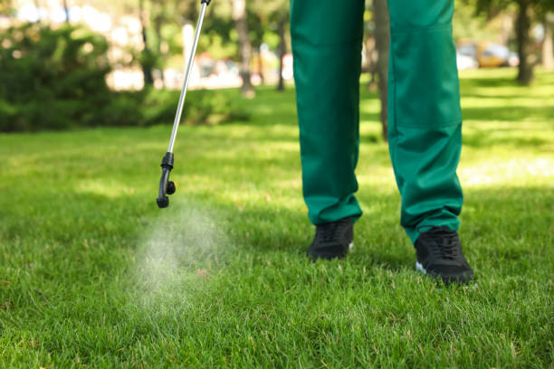 Best Pest Control for Restaurants  in Coldwater, OH