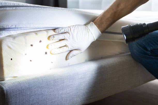 Best Pest Control Cost  in Coldwater, OH