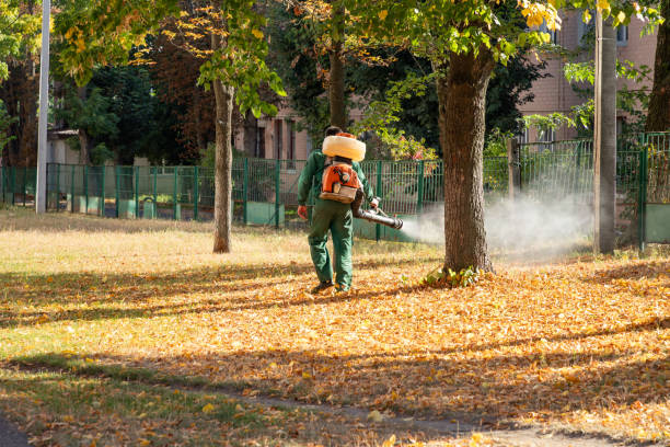 Best Local Pest Control Services  in Coldwater, OH