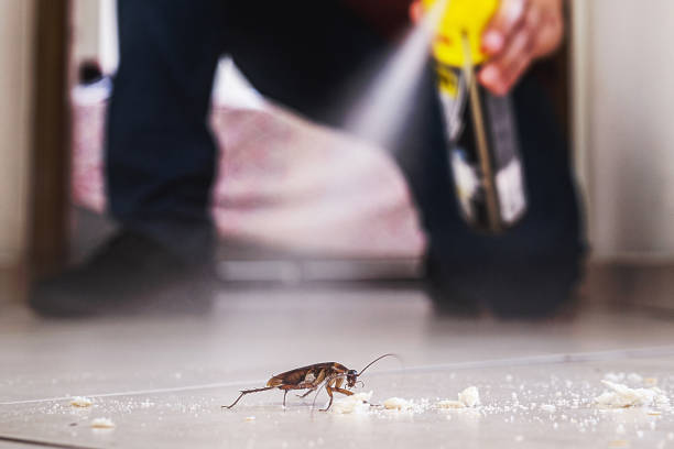 Best Residential Pest Control  in Coldwater, OH