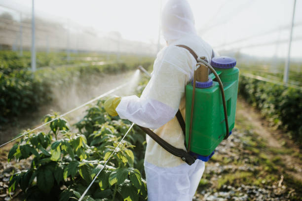  Coldwater, OH Pest Control Pros